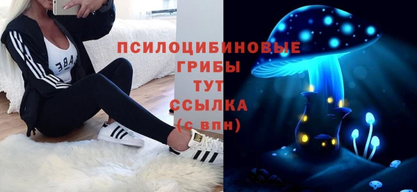 ГАЛЛЮЦИНОГЕННЫЕ ГРИБЫ Беломорск