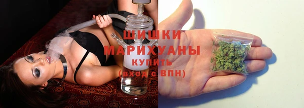 ГАЛЛЮЦИНОГЕННЫЕ ГРИБЫ Беломорск