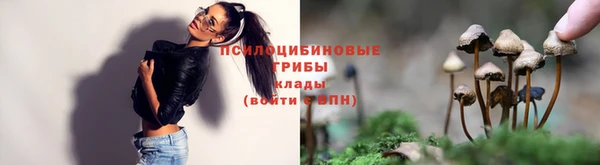 ГАЛЛЮЦИНОГЕННЫЕ ГРИБЫ Беломорск