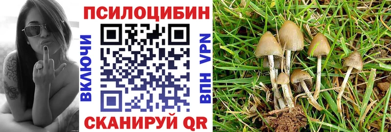 hydra Тотьма Псилоцибиновые грибы MAGIC MUSHROOMS